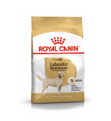 ROYAL CANIN  BHN LABRADOR RETRIEVIER ADULT sausas maistas suaugusiems Labradorų veislės šunims 12 kg paveikslėlis