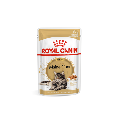 ROYAL CANIN FBN MAINE COON konservai suaugusioms Meino meškėnų veislės katėms 12x85 g paveikslėlis