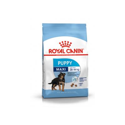 ROYAL CANIN SHN Maxi puppy sausas maistas jauniems didelių veislių šuniukams 4 kg paveikslėlis