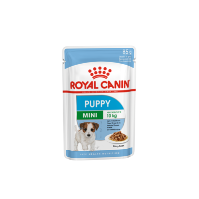 ROYAL CANIN SHN Mini puppy konservai jauniems mažų veislių šunims 12x85 g paveikslėlis