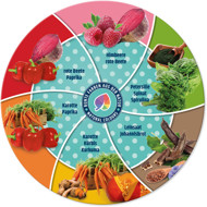 BLUE TREE Cheesie donuts natūralus kramtomas skanėstas šunims su kalciu 75 g paveikslėlis