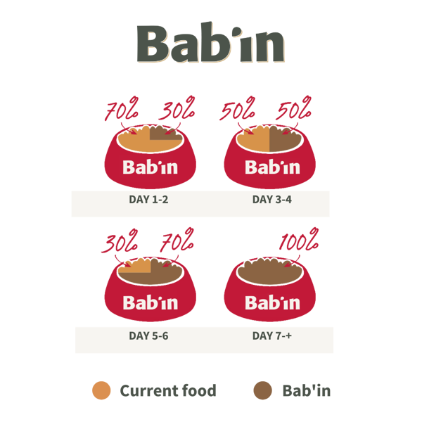 BAB'IN SIGNATURE MEDIUM & MAXI SENIOR sausas maistas vyresniems (6m.+) vidutinių ir didelių veislių šunims su antiena, 4 kg paveikslėlis