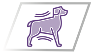 TONIVET PHYSIO Adult Medium&Maxi Sterilised sausas maistas suaugusiems vidutinių ir didelių veislių sterilizuotiems šunims, 14 kg paveikslėlis