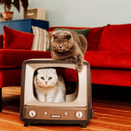 District 70 TELLY draskyklė katėms televizorius, rudas paveikslėlis
