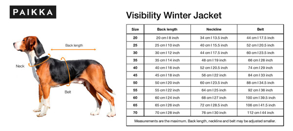 PAIKKA šviesą atspindinti žieminė striukė šunims, 40, žalia paveikslėlis
