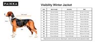 PAIKKA šviesą atspindinti žieminė striukė šunims, 65, žalia paveikslėlis