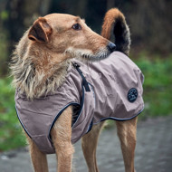 HUNTER UPPSALA funkcionalus paltas šunims, 70 cm, rudas paveikslėlis