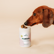 BUDDY papildas su probiotikais šunims, 180 g paveikslėlis