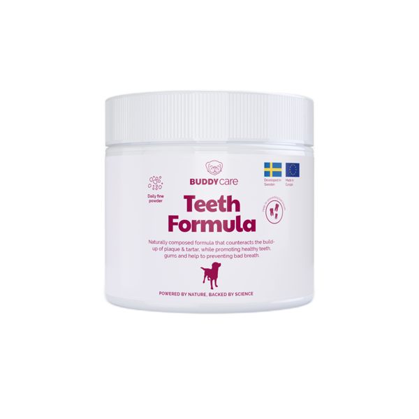 BUDDY Teeth Formula papildas nuo dantų apnašų ir akmenų susidarymo šunims, 250 g paveikslėlis