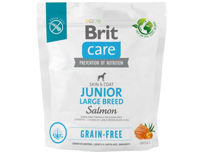 BRIT CARE Adult Salmon begrūdis sausas maistas suaugusiems šunims su lašiša, 1 kg paveikslėlis