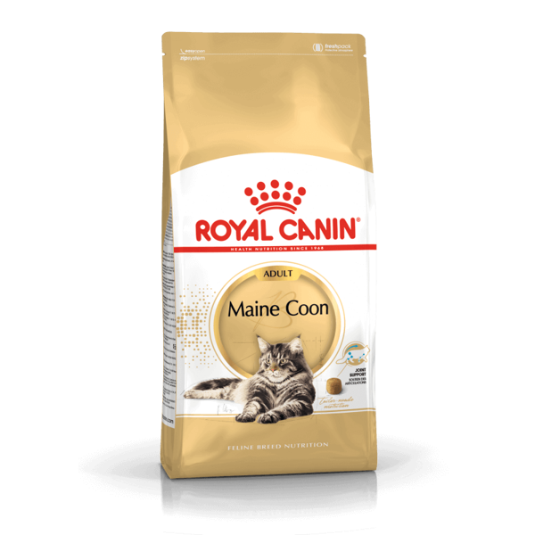 ROYAL CANIN FBN Maine Coon sausas maistas suaugusioms Meino meškėno katėms 10 kg paveikslėlis