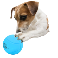 AFP Meta kamuolys -  atšokantis ir barškantis kamuolys šunims, mėlynas paveikslėlis