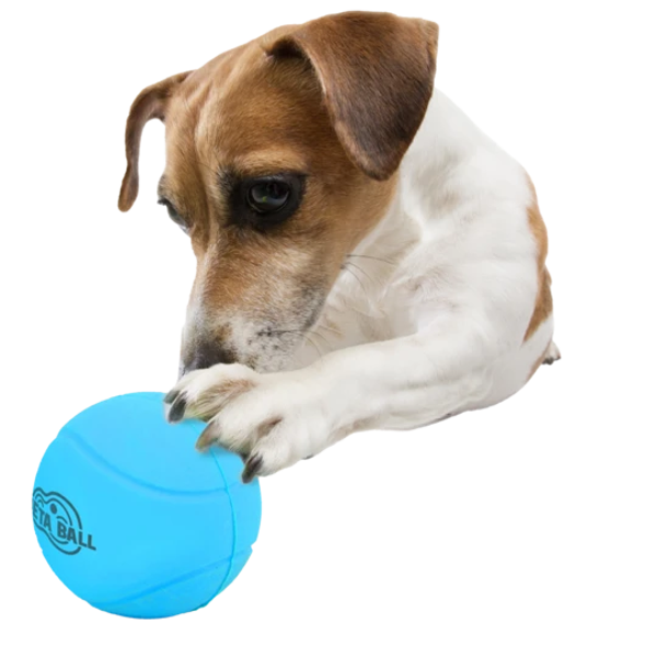 AFP Meta kamuolys -  atšokantis ir barškantis kamuolys šunims, mėlynas paveikslėlis