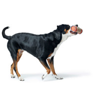 HUNTER Tough Pombas  treniruočių žaislas su skanukais šunims, 20 cm, oranžinis paveikslėlis