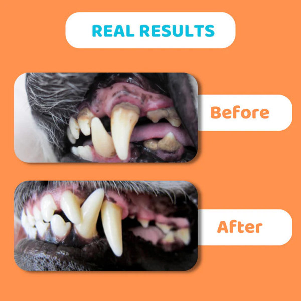DOGSLIFE dantų pasta šunims, 100 g paveikslėlis