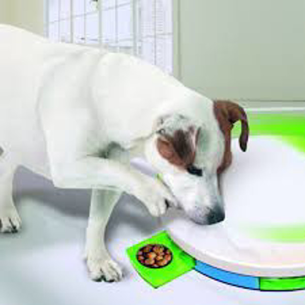 PAWISE lavinamasis žaislas šunims, baltas paveikslėlis