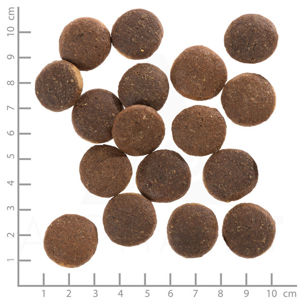 WOLFSBLUT Red Rock Adult sausas maistas alergiškiems šunims su kengūriena ir moliūgais, 12,5 kg paveikslėlis