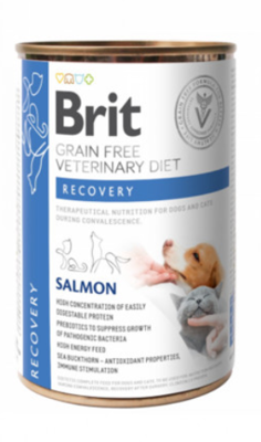 BRIT GF Veterinary Diets Recovery konservai šunims ir katėms 400 g paveikslėlis