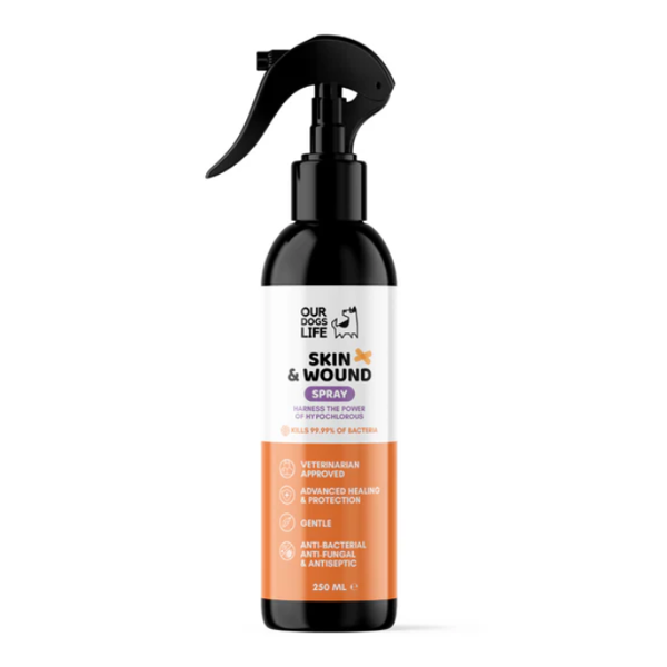 DOGSLIFE Dog Antiseptic Spray antiseptinis purškalas šunims 250 ml