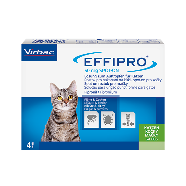 EFFIPRO 50mg Cat užlašinamasis tirpalas katėms N4