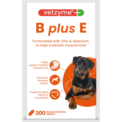 VETZYME B+E papildas šunims N200