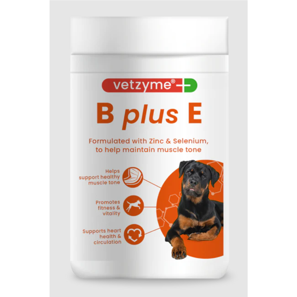 VETZYME B+E papildas šunims N200