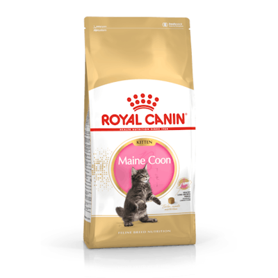 ROYAL CANIN FBN Cat Maine Coon Kitten sausas maistas Meino meškėnų veislės kačiukams 10 kg