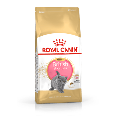 ROYAL CANIN FBN Cat British Shorthair Kitten sausas maistas Britų trumpaplaukiams kačiukams 10 kg
