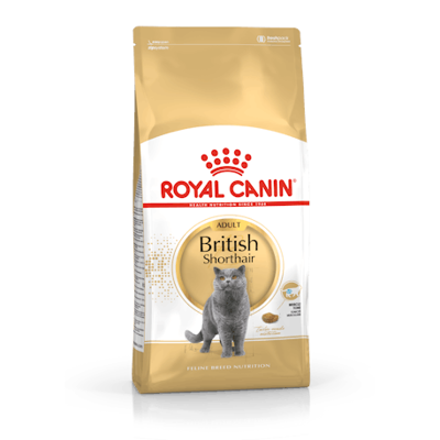 ROYAL CANIN FBN Cat British Shorthair sausas maistas suaugusioms Britų trumpaplaukėms katėms 10 kg