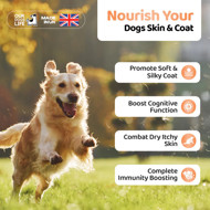 DOGSLIFE Salmon Oil lašišų aliejus šunims, 1000 ml