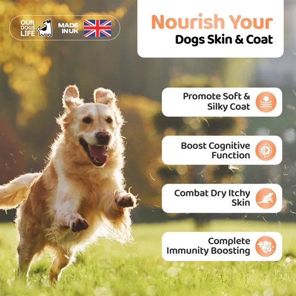 DOGSLIFE Salmon Oil lašišų aliejus šunims, 1000 ml