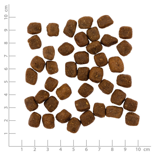 PRIMUM sausas maistas suaugusiems šunims su  minkšta antiena ir bulvėmis, 1,5 kg