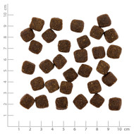PRIMUM sausas maistas suaugusiems šunims su ėriena ir bulvėmis, 1,5 kg