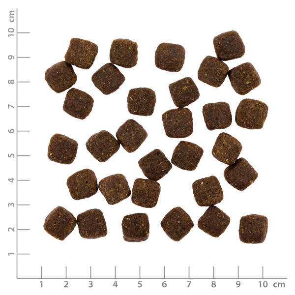 PRIMUM sausas maistas suaugusiems šunims su ėriena ir bulvėmis, 1,5 kg