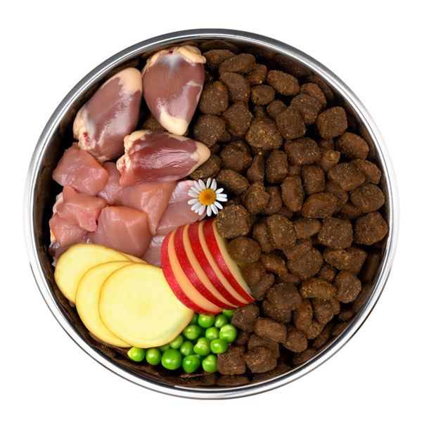 PRIMUM sausas maistas suaugusiems šunims su minkšta vištiena ir bulvėmis, 1,5 kg