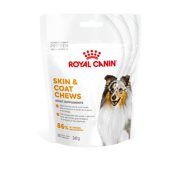 SKIN & COAT ADULT DOG SUPPLEMENTS 5X240G 1,2 kg