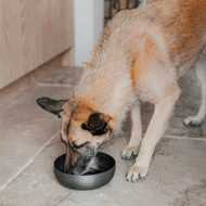 DISTRICT 70 ROYAL metalinis dubenėlis šunims L 21 cm., tamsiai pilka