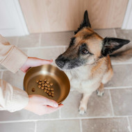 DISTRICT 70 ROYAL metalinis dubenėlis šunims L 21 cm., aukso