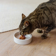 DISTRICT 70 DUSK keraminis dubenėlis katėms 12 cm., rusva