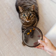 DISTRICT 70 DAWN stiklinis dubenėlis katėms 12 cm., juoda