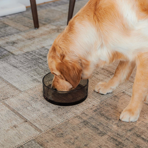 DISTRICT 70 DAWN stiklinis dubenėlis šunims M 17 cm., juoda