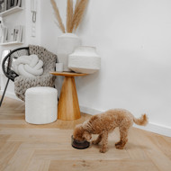 DISTRICT 70 DAWN stiklinis dubenėlis šunims M 17 cm., juoda