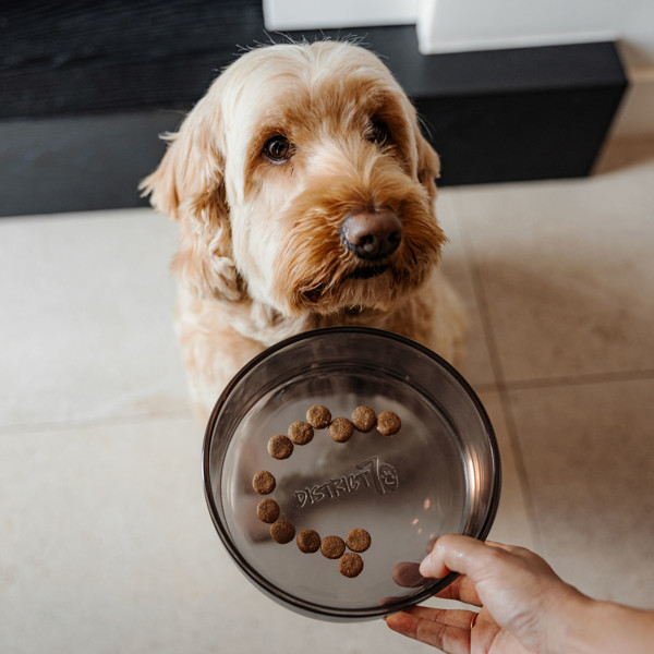 DISTRICT 70 DAWN stiklinis dubenėlis šunims L 21 cm., juoda