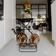 DISTRICT 70 BUTLER stovas kačių dubenėliams , juodas