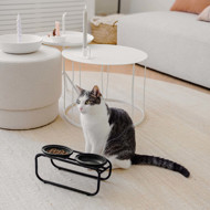 DISTRICT 70 BUTLER stovas kačių dubenėliams , juodas