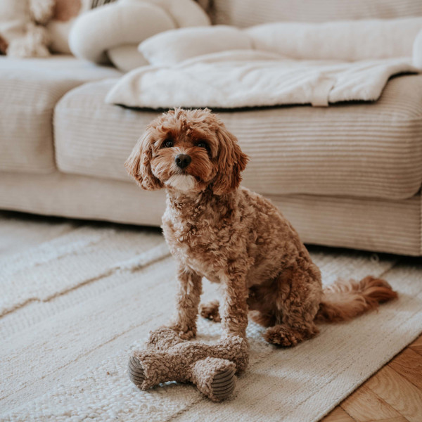 DISTRICT 70 ZIGGY žaislas šunims 20 x 20 cm., rusvas