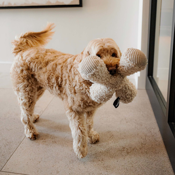 DISTRICT 70 ZIGGY žaislas šunims 20 x 20 cm., rusvas