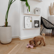 DISTRICT 70 ZIGGY žaislas šunims 20 x 20 cm., rausvas