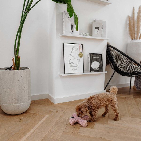 DISTRICT 70 ZIGGY žaislas šunims 20 x 20 cm., rausvas