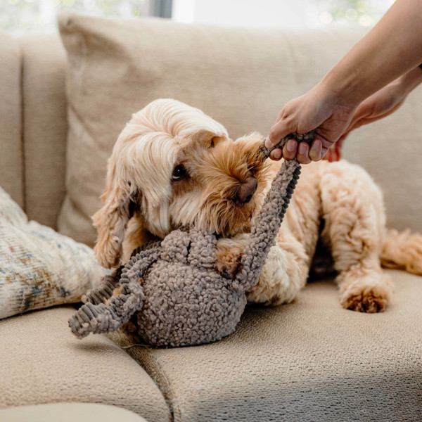 DISTRICT 70 SQUID žaislas šunims 13 x 20 cm., rusvas